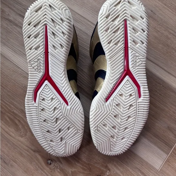 Adidas Predator Accelerator TR Indoor Soccer Shoes