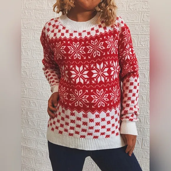 Fair Isle Color Contrast Winter Snowflake Long Sleeve Long Minimalist Sweater