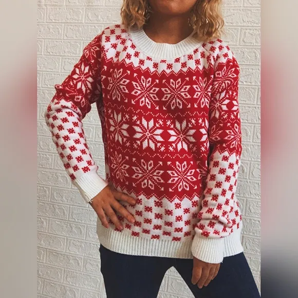 Fair Isle Color Contrast Winter Snowflake Long Sleeve Long Minimalist Sweater