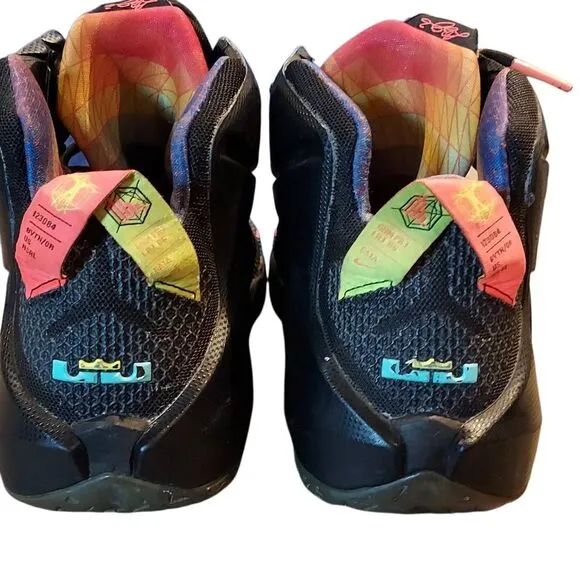 LeBron James US 10.5