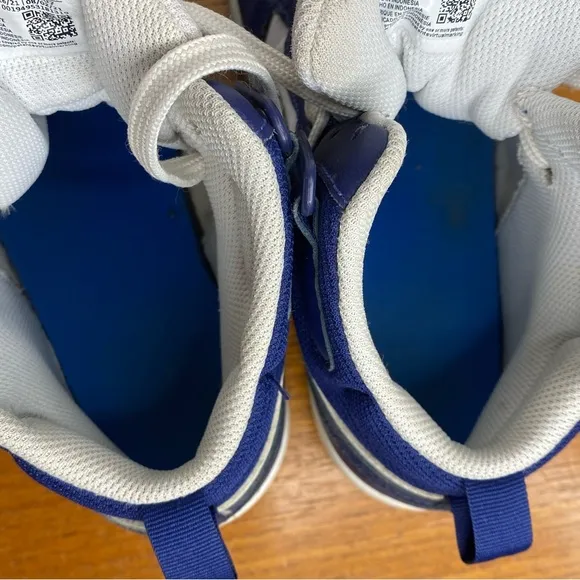 Nike Court Borough Mid 2 Shoes