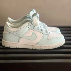 Nike Dunks Blue and White