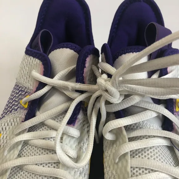 Nike LeBron Witness IV Basketball Shoes Purple Gold Mens Size 9.5