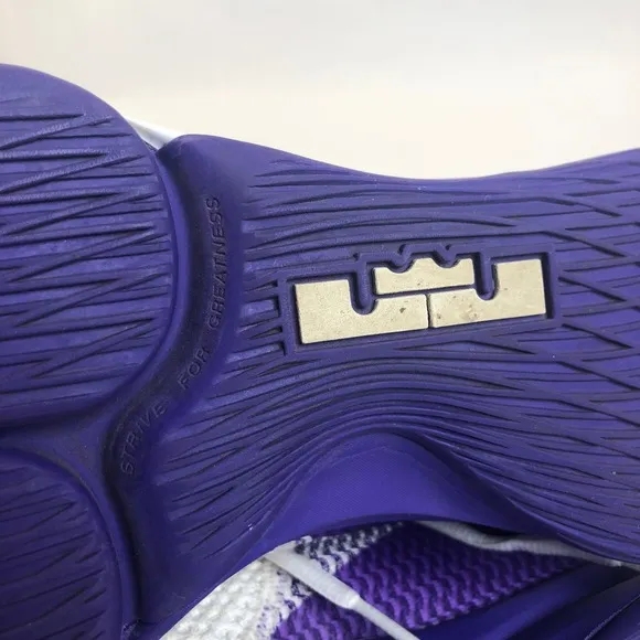 Nike LeBron Witness IV Basketball Shoes Purple Gold Mens Size 9.5