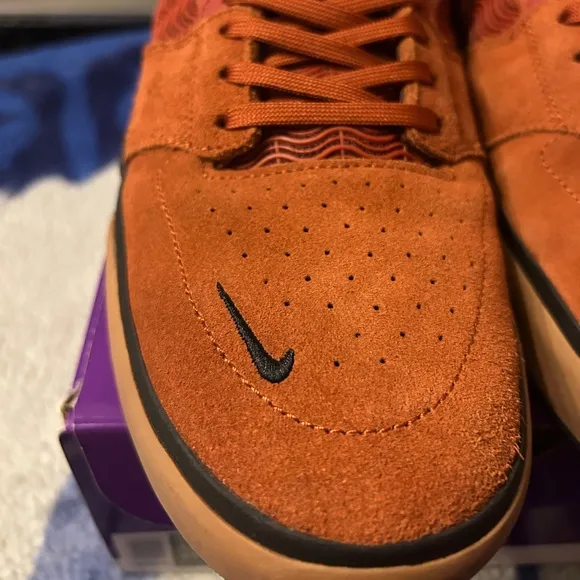 Nike SB Ishod Wair shoes