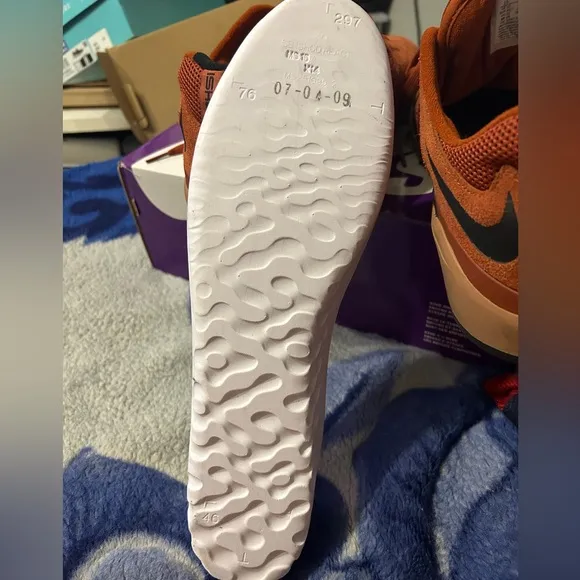 Nike SB Ishod Wair shoes