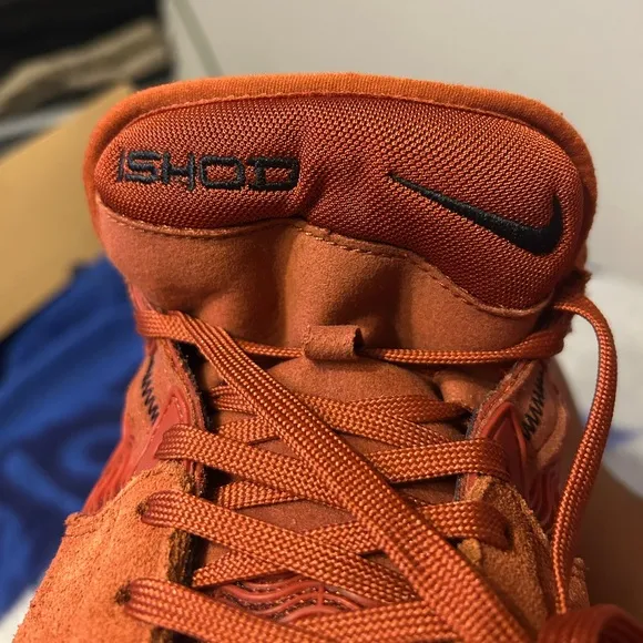 Nike SB Ishod Wair shoes
