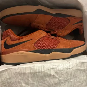Nike SB Ishod Wair shoes