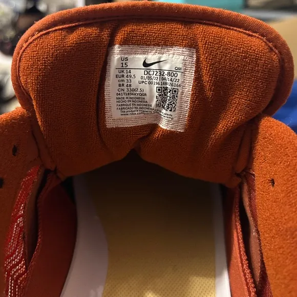 Nike SB Ishod Wair shoes