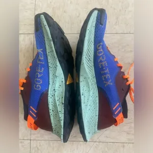 Nike Trail Pegasus GTX Shoes Size 9,5 Color Blue Orange